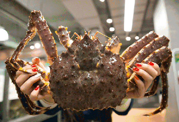 【時代儒商】膠東碼頭海鮮城淮揚菜、魯菜、海鮮超多美味！滿足您的味蕾~~