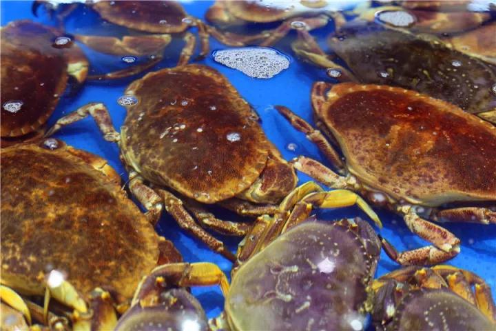 【時代儒商】膠東碼頭海鮮城淮揚菜、魯菜、海鮮超多美味！滿足您的味蕾~~