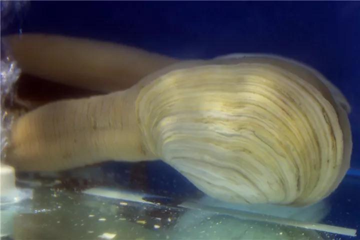 【時代儒商】膠東碼頭海鮮城淮揚菜、魯菜、海鮮超多美味！滿足您的味蕾~~