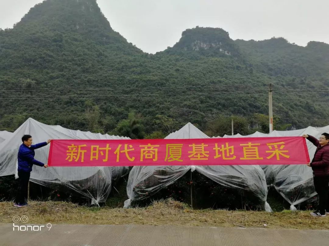 新時(shí)代商廈｜誠信315 信用讓消費(fèi)更放心！